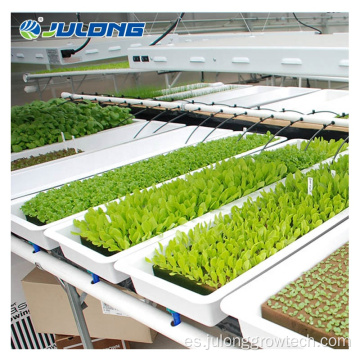 Sistema de cultivo de semillas hidropónicas invernadero